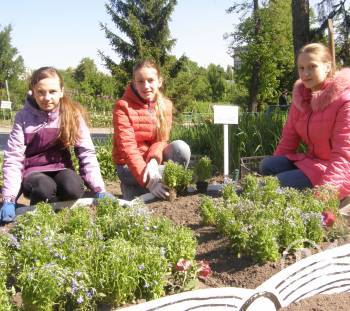 ������ ��������� ����� �������  �� �������� ������� - ����, ����